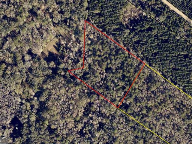 Land for sale in Folkston, Georgia