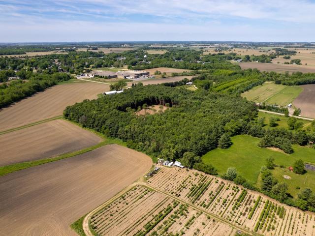 Land for sale in Capron, Illinois