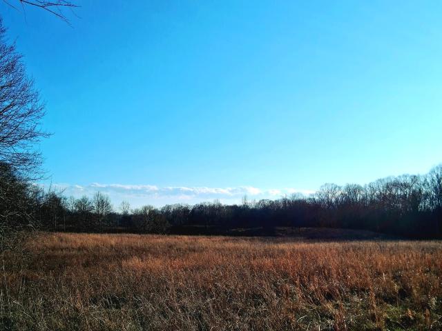 Land for sale in Tennessee