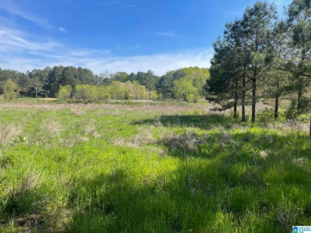 Land for sale in Alabama