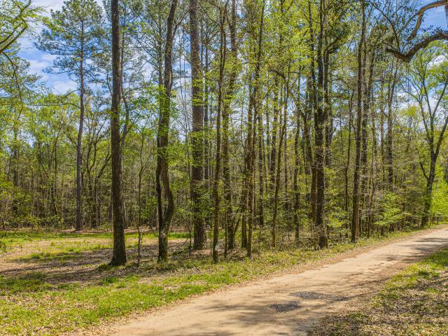 Land for sale in South Carolina