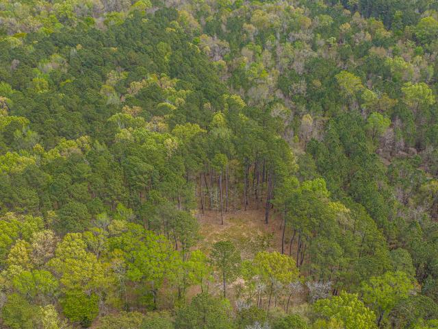 Land for sale in South Carolina