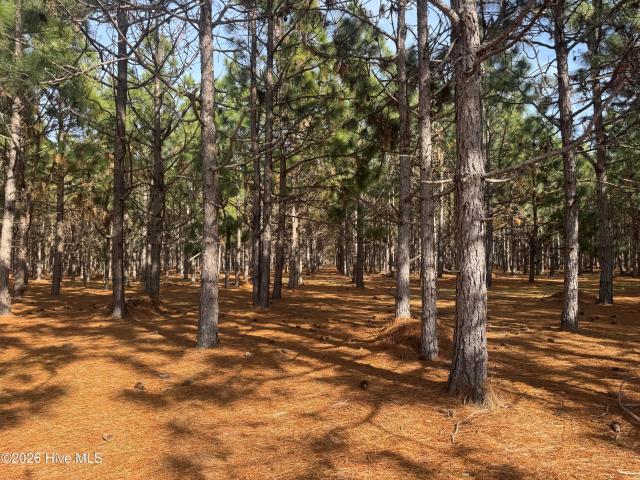 Land for sale in Bladenboro, North Carolina