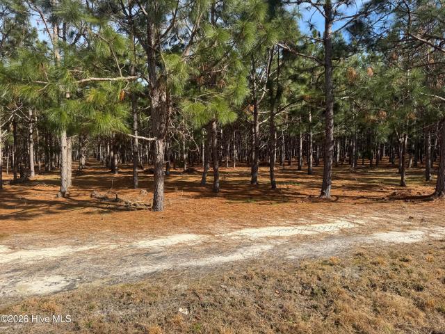 Land for sale in Bladenboro, North Carolina