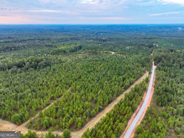Land for sale in Milledgeville, Baldwin County