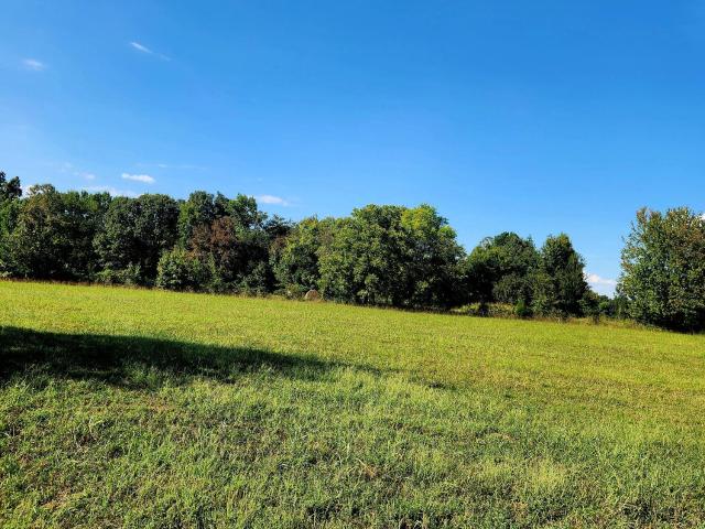 Land for sale in Decatur, East Tennessee