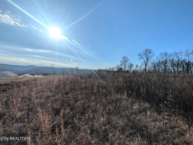 Land for sale in Tennessee