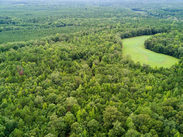 Land for sale in Pine Mountain, Georgia