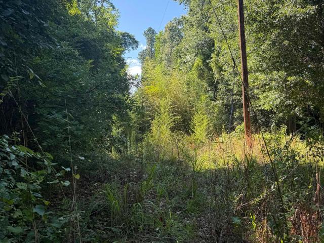 Land for sale in Ware Shoals, South Carolina