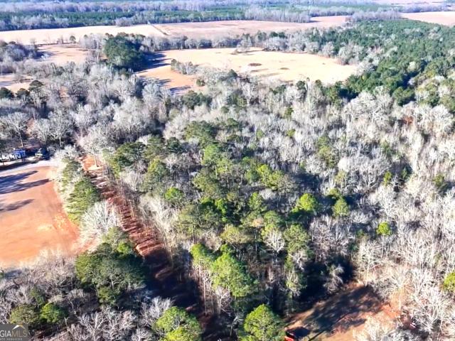 Land for sale in Dudley, Georgia