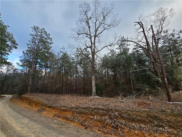 Land for sale in Leesville, Louisiana