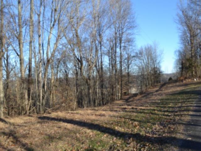 Land for sale in Tennessee