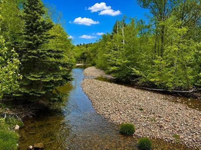 Land for sale in North East Margaree, Nova Scotia