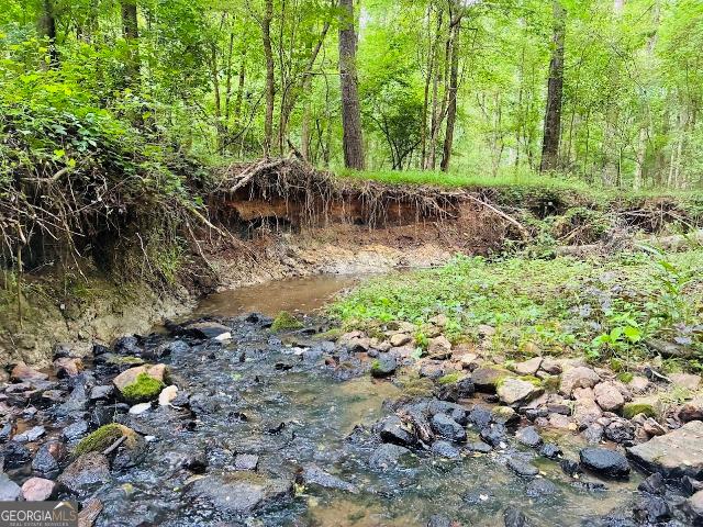Land for sale in Georgia