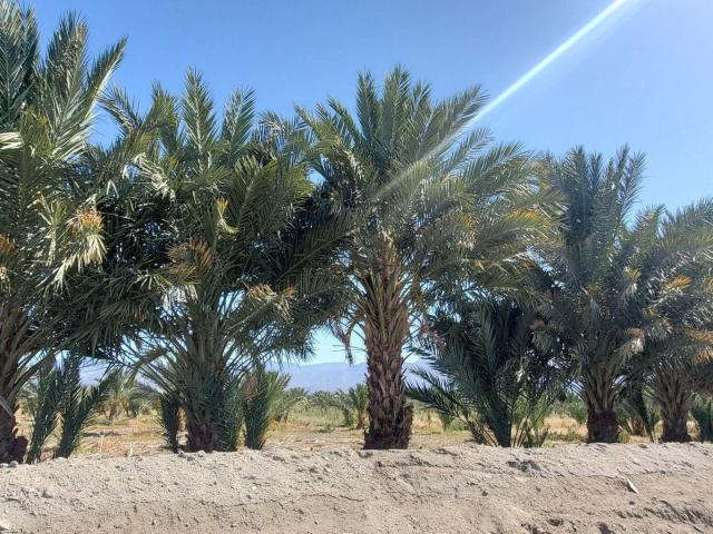 Land for sale in Coachella, California