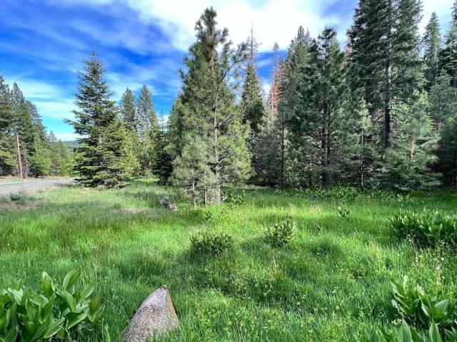 Land for sale in Modoc, California