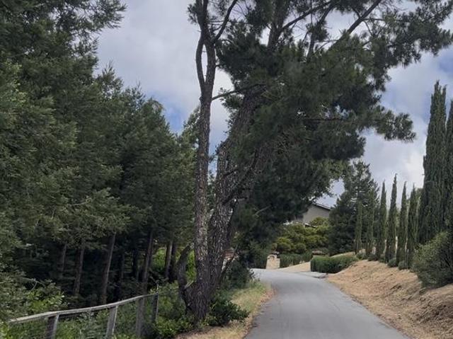 Land for sale in Redwood City Land for sale in Redwood City