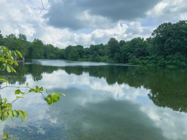 Farm for sale in Obion, West Tennessee