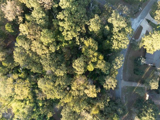 Land for sale in Ben Wheeler, Texas