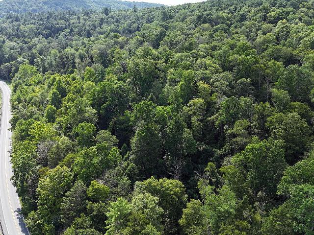 Land for sale in Equinunk, Pennsylvania