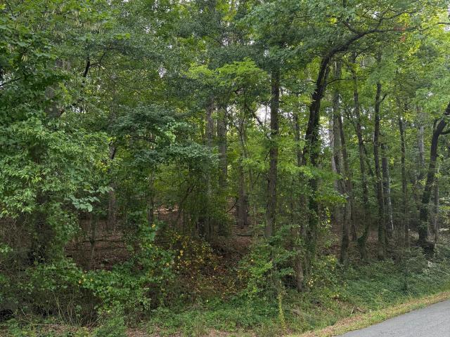 Land for sale in Rome, Floyd County