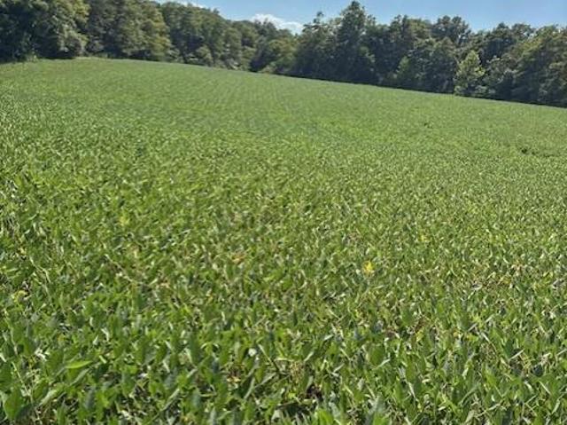 Land for sale in Seaman, Adams County