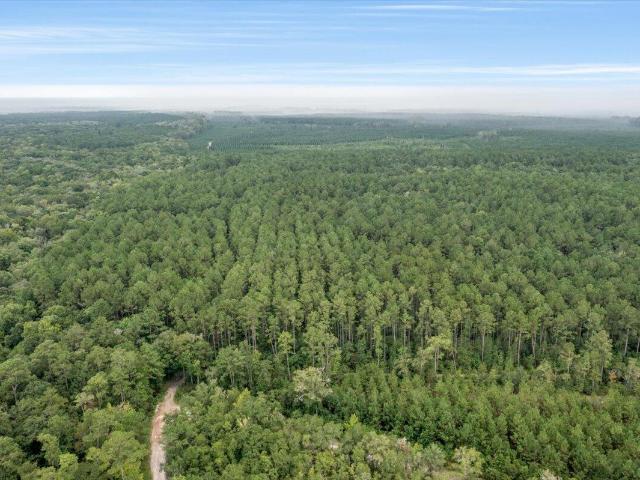 Land for sale in Ridgeville, South Carolina