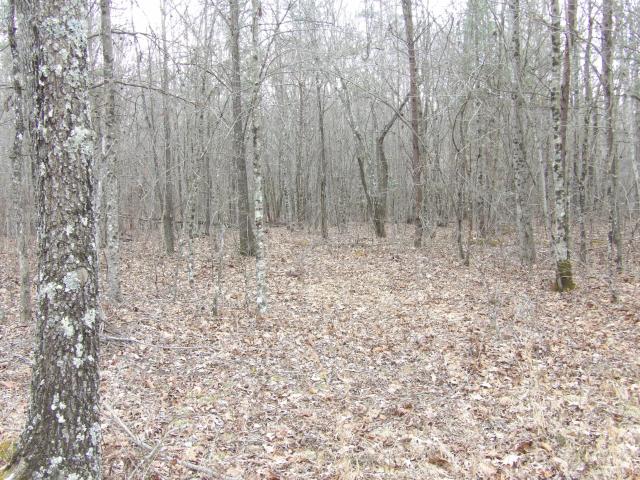 Land for sale in Tennessee