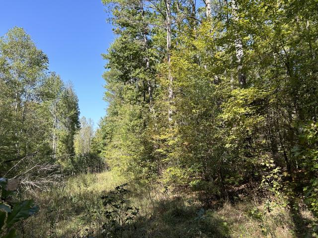 Land for sale in Tennessee