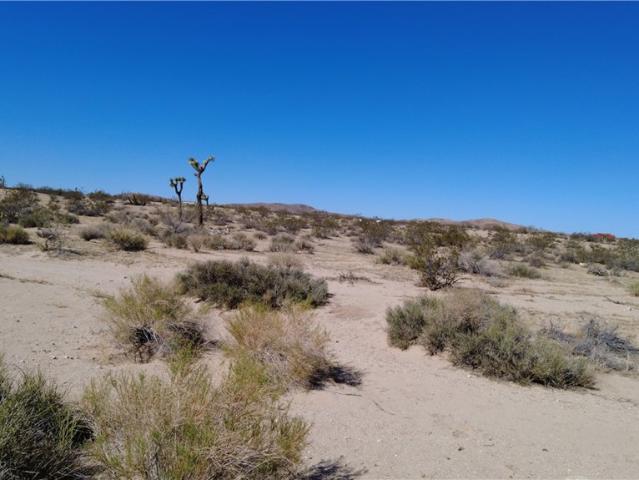 Land for sale in Joshua Tree, California