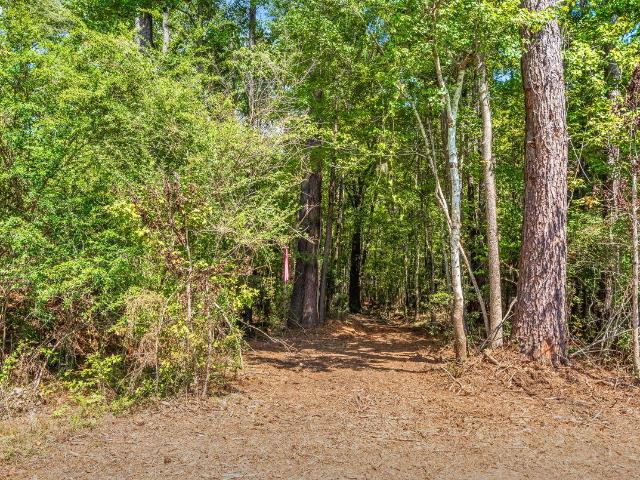 Land for sale in Ridgeville, Dorchester County