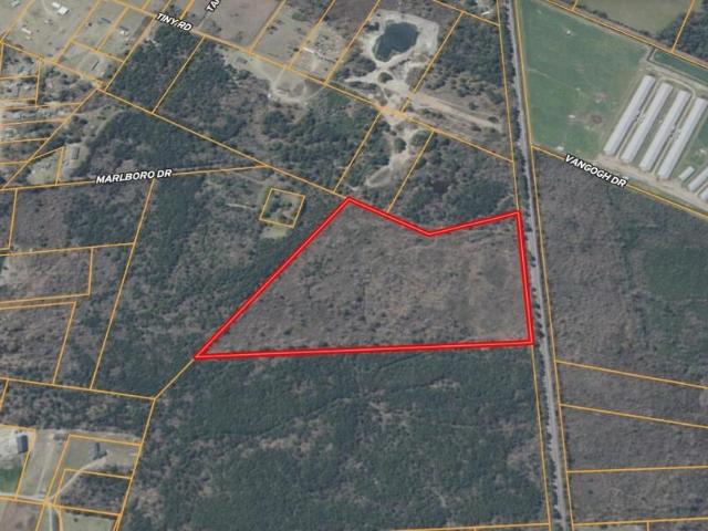 Land for sale in Rowland, North Carolina
