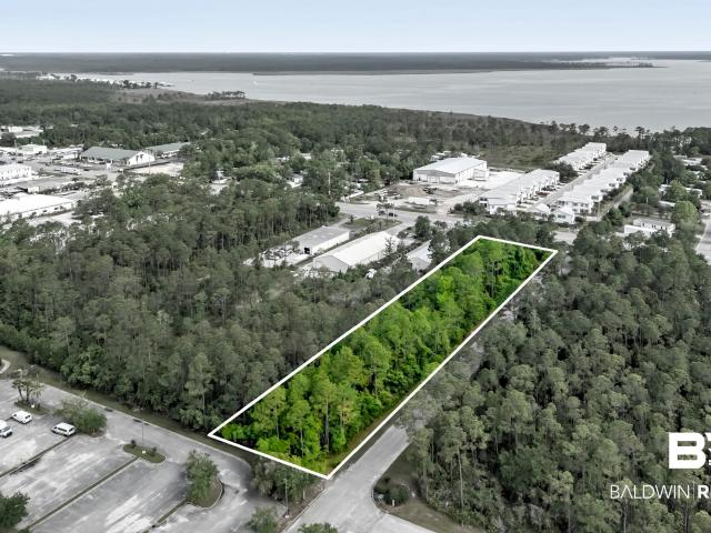 Commercial for sale in Orange Beach, Alabama