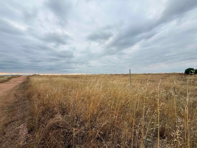 Land for sale in Corning, California