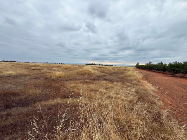 Land for sale in Corning, California
