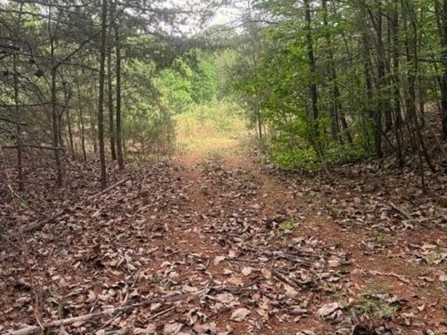 Land for sale in Tennessee