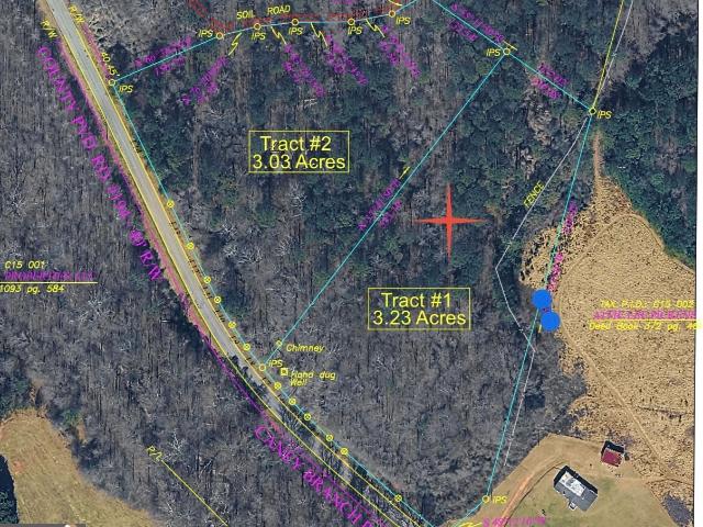 Land for sale in Lavonia, Georgia