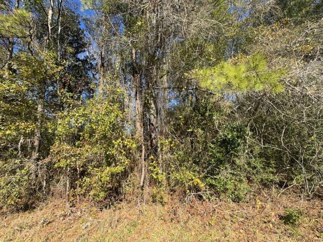 Land for sale in Vidor, Texas