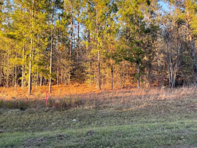 Land for sale in Twin City, Georgia