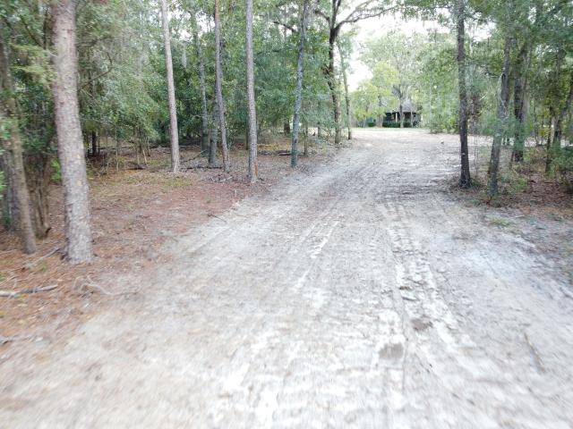 Land for sale in Claxton, Evans County