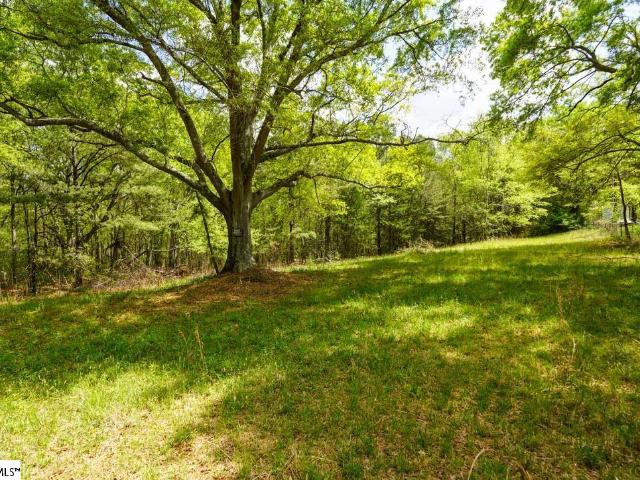 Land for sale in Chesnee, South Carolina