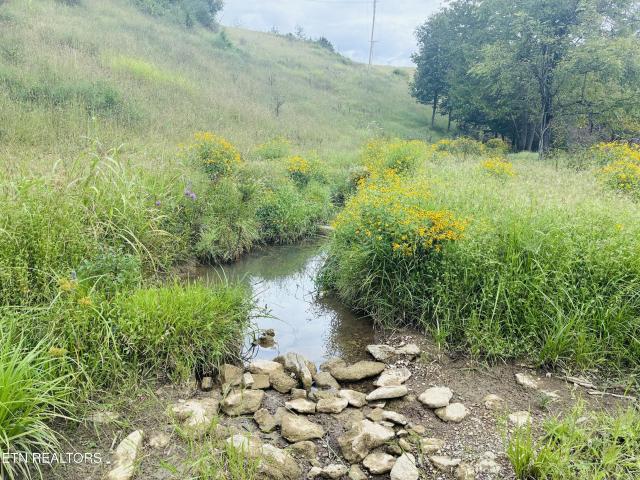Farm for sale in Luther, Sneedville