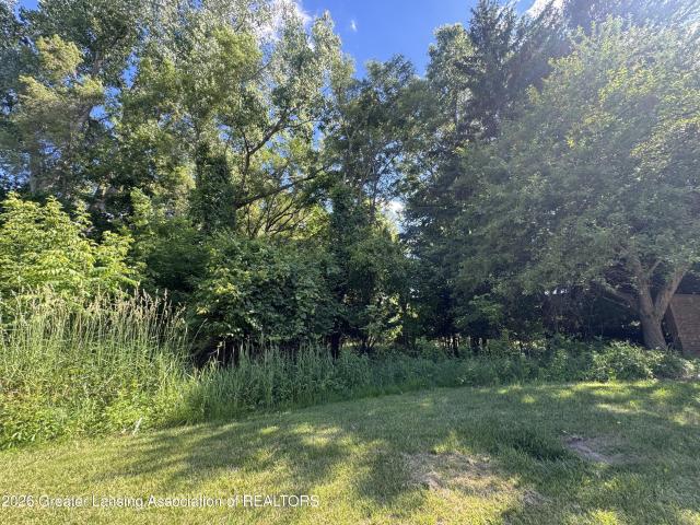 Land for sale in Eaton, Michigan