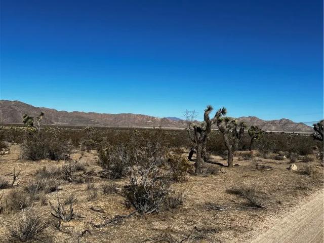 Land for sale in Lucerne Valley, California