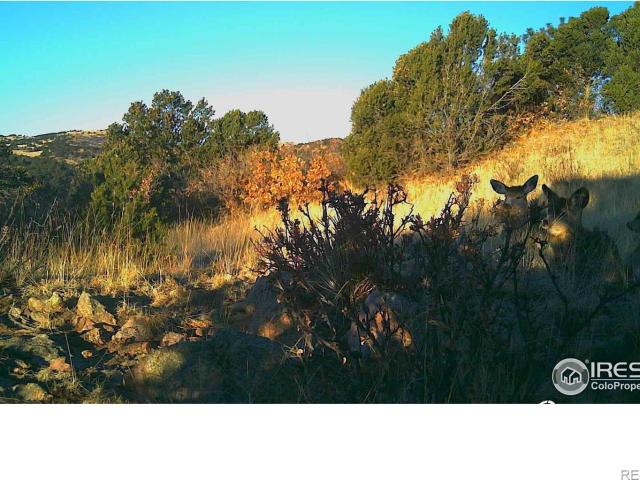 Land for sale in Canon City, Colorado