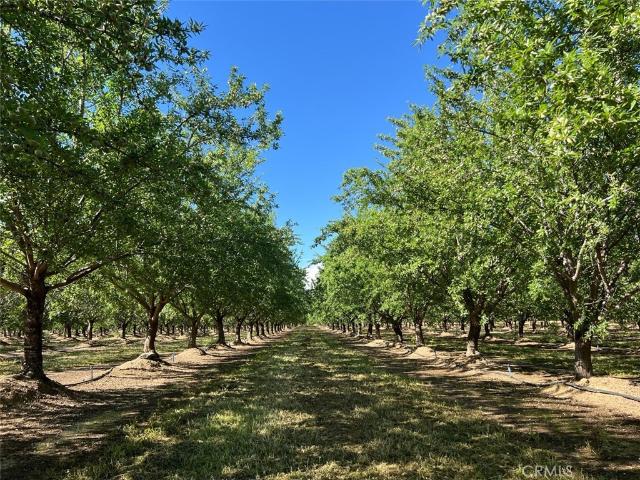 Land for sale in Corning, California
