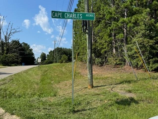 Land for sale in Hampton, Georgia