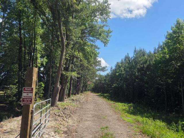 Land for sale in Jacksonboro, South Carolina