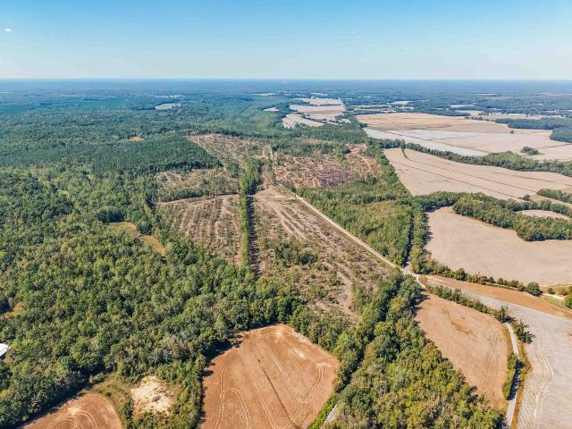 Land for sale in Guys, West Tennessee