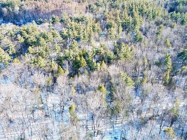 Land for sale in New Hampshire